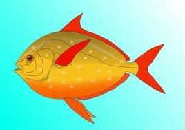 images_118